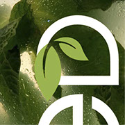 Logo Design - Amber Brown Design