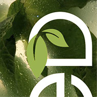 Logo Design - Amber Brown Design